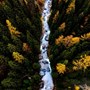 A river running between two forests | wealthify.com