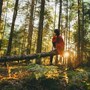 Girl sitting on a tree in a quiet forest | wealthify.com