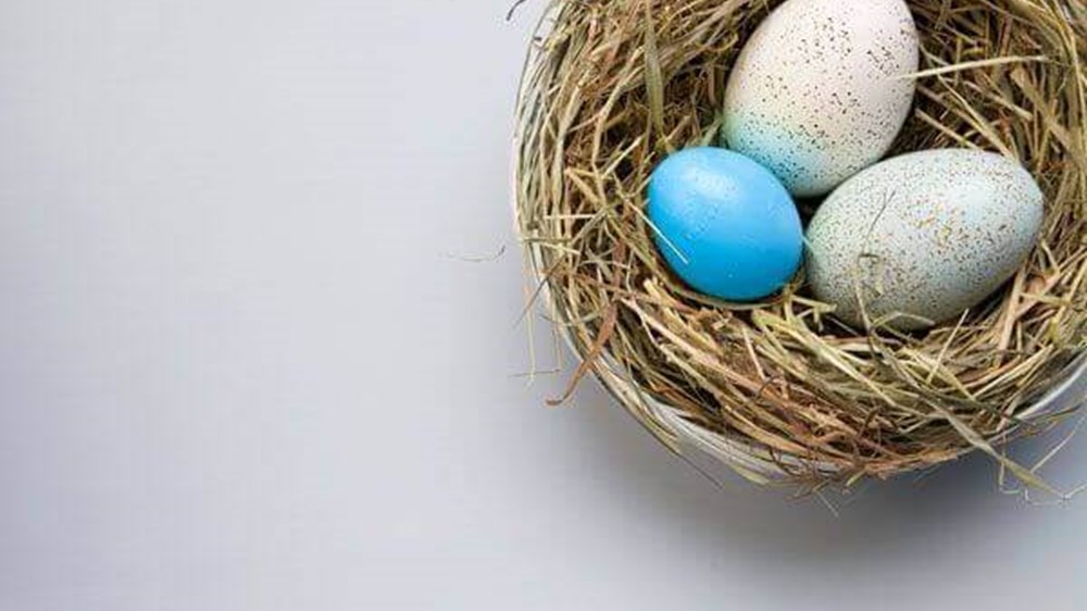An overhead view of 3 eggs in a basket