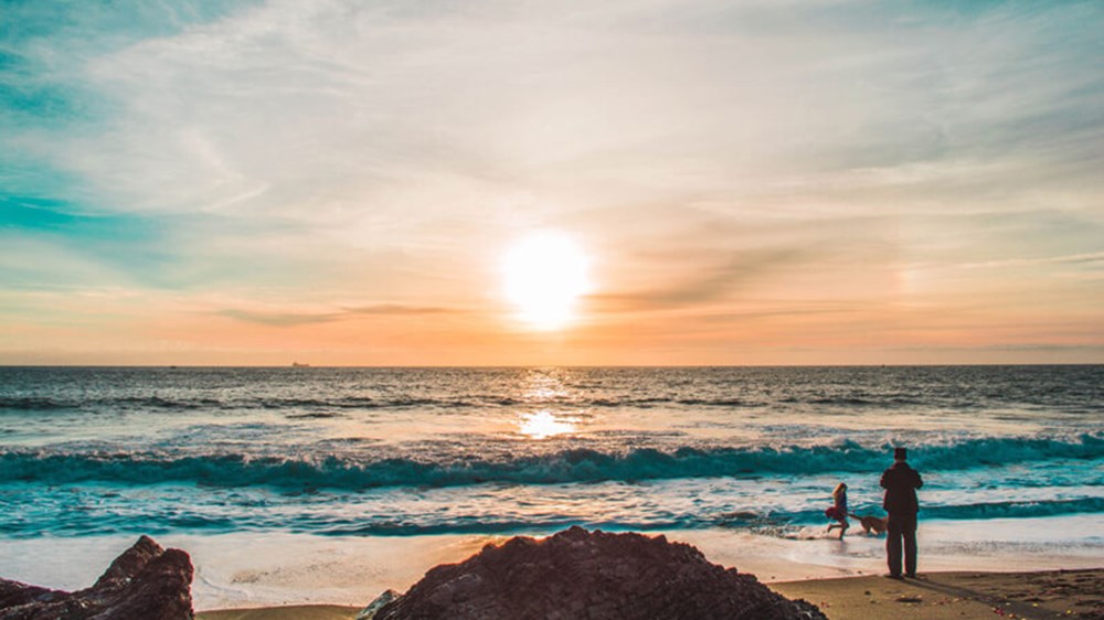 Invest your money ethically