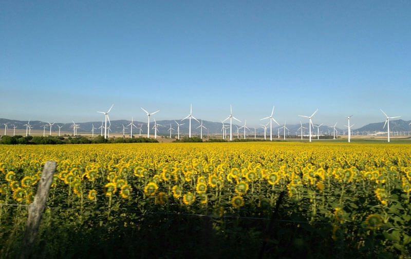 Does ethical investing mean lower performance?