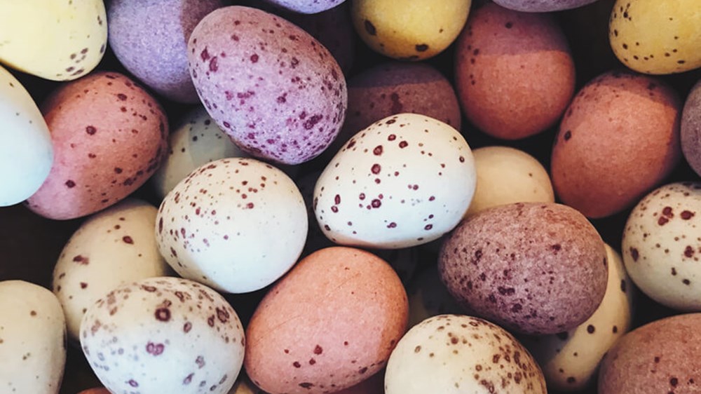 Why you shouldn’t put all your eggs in one basket