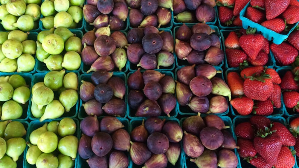 Should I use active or passive funds in my Stocks and Shares ISA?