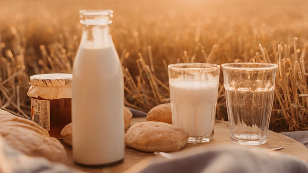 Companies that do good – Danone