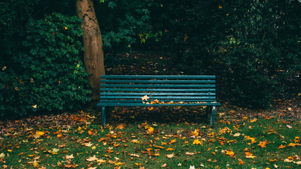 How to use cash park