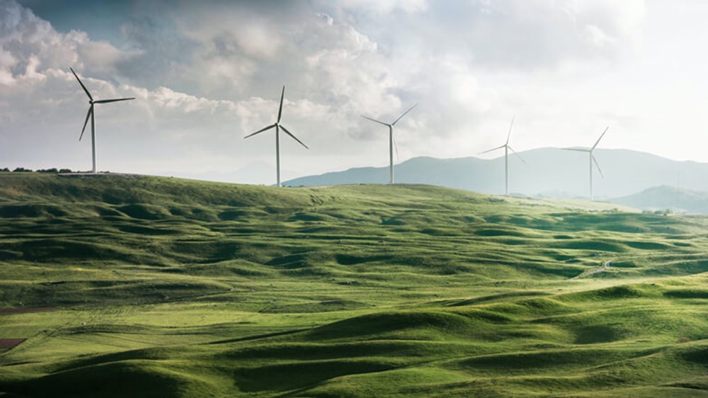 Windmills in a field | Wealthify
