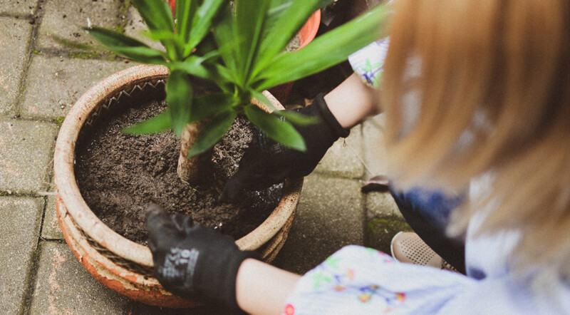 Woman gardening | Wealthify