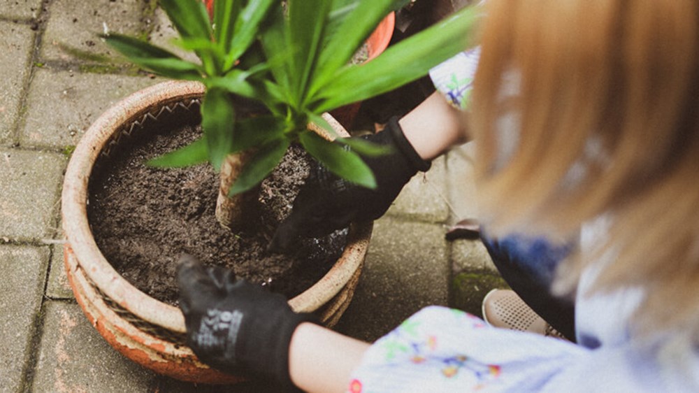 Woman gardening | Wealthify