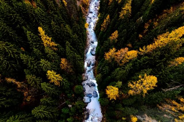 A river running between two forests | wealthify.com