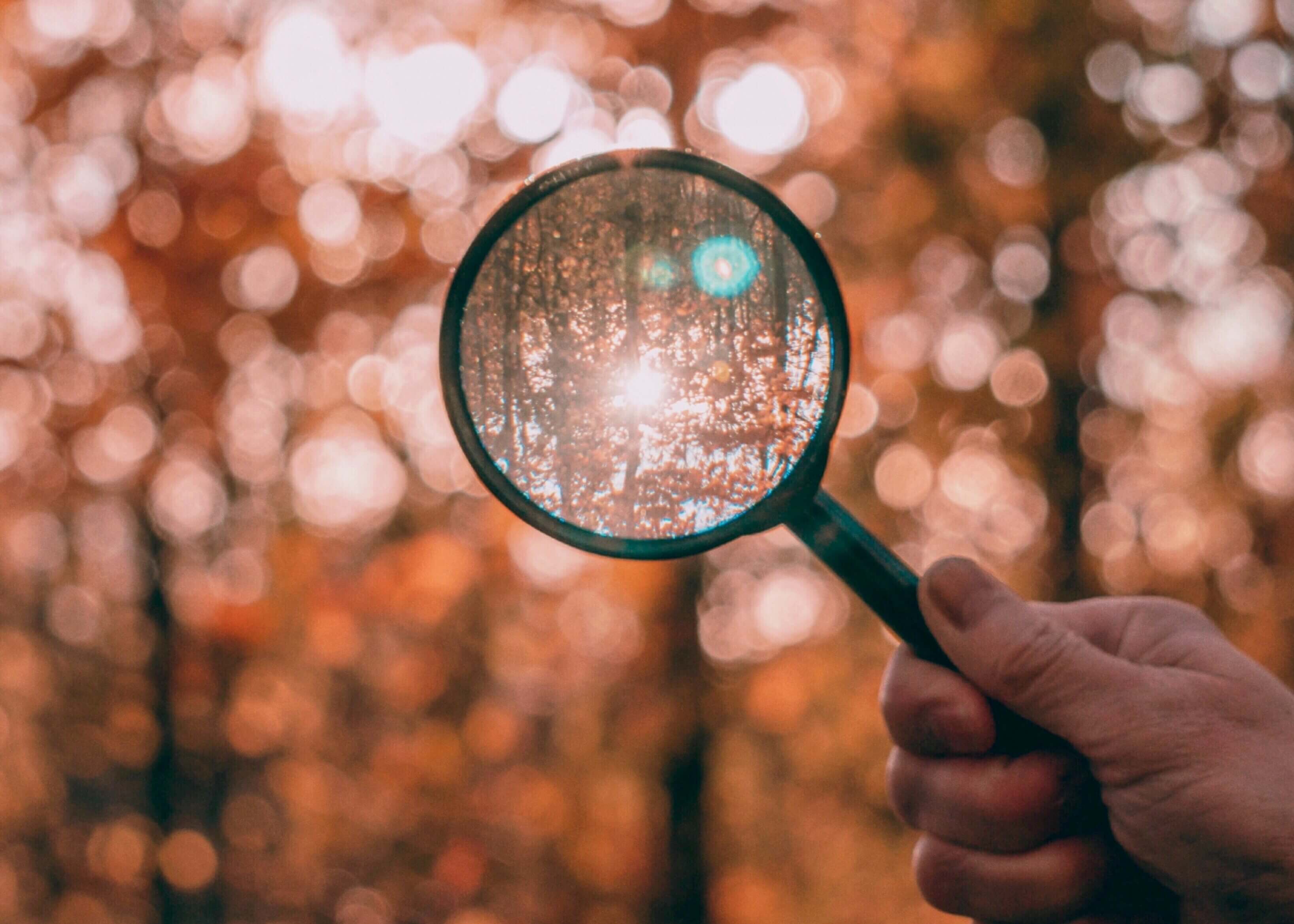 Close up of hand holding magnifying glass in front of trees