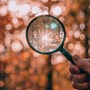 Close up of hand holding magnifying glass in front of trees