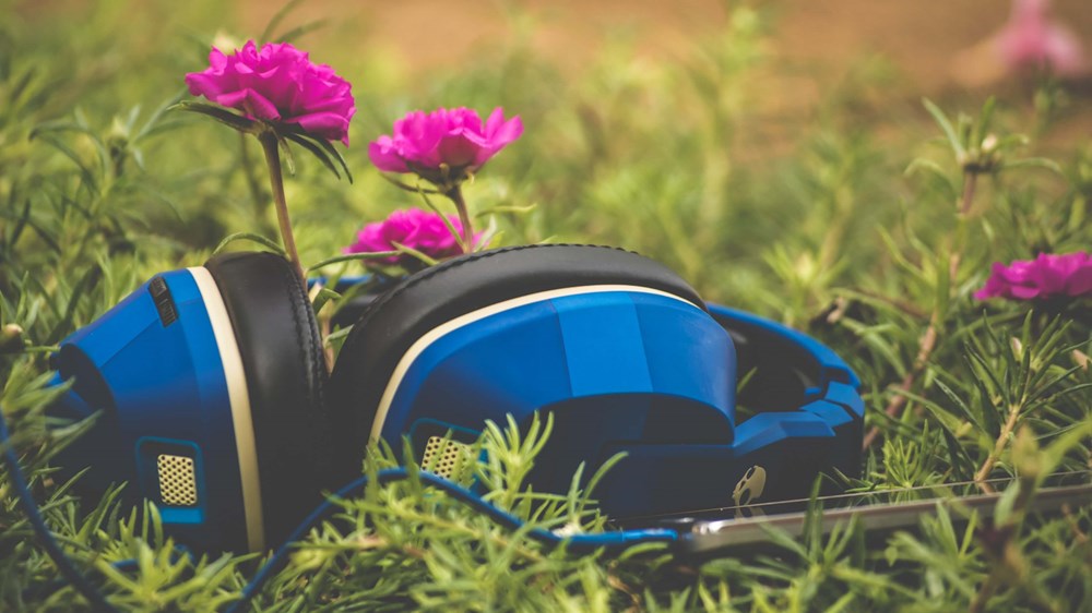 Close up of blue headphones laying on grass