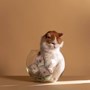 White and ginger cat sitting in a fish bowl full of money