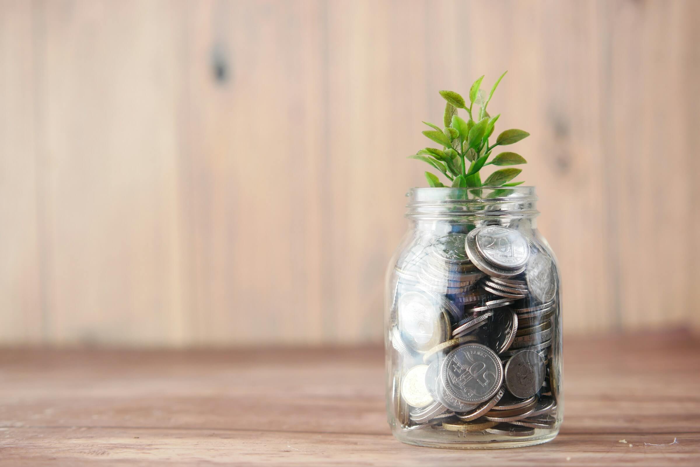A jar of money with a plant growing from it, symbolising financial growth and investment.