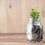 a pot containing coins with a plant growing out the top representing growth.