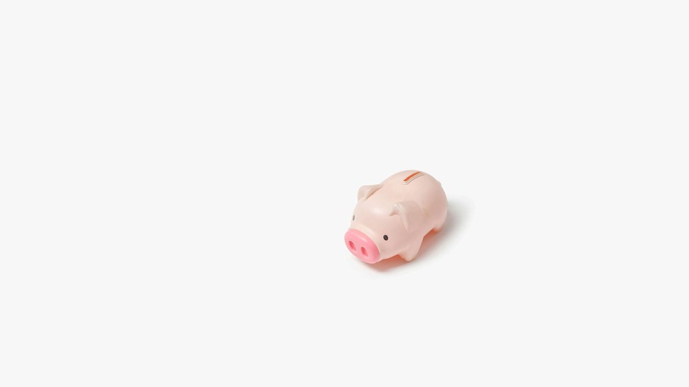 A little pink piggy bank on an off white background
