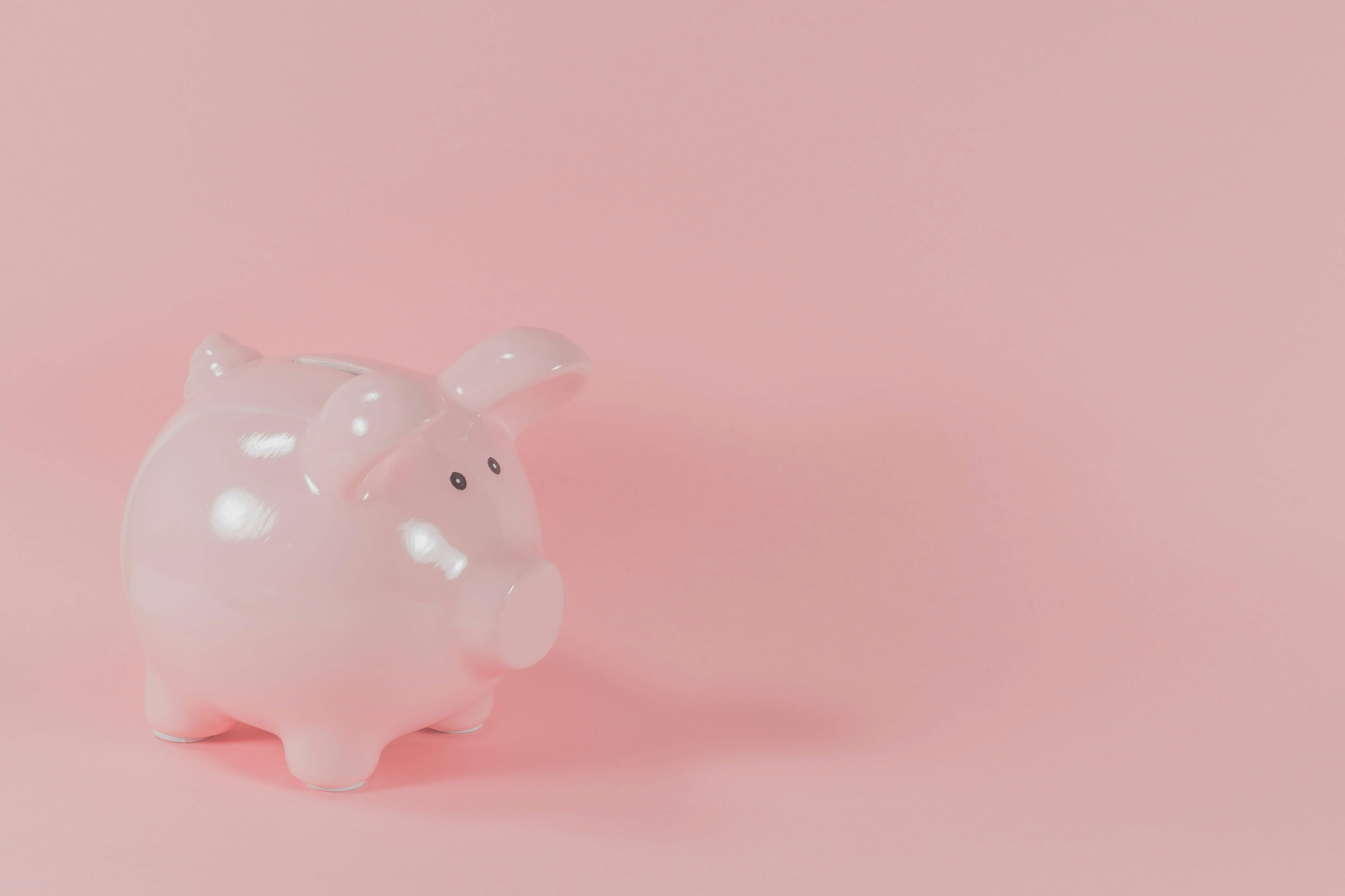 A pink piggy bank